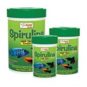 Alcon Spirulina Flakes 10G 