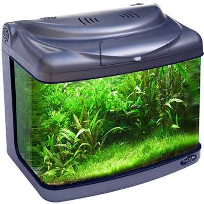 Aquario Com Sump Hailea Fa300A 110v 28L Preto pronto para uso