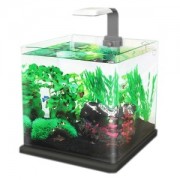 Aquario Hailea Fashion Home C10 - Preto - 110V