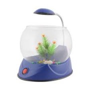 Beteira Hailea Vidro Redondo V01-Azul Leds 127V